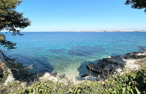 Island House Osljak - Foto 44