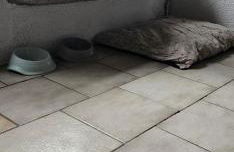 Le Phoenix - gîte 15 personnes parc naturel Vosges Saônoises - Foto 9