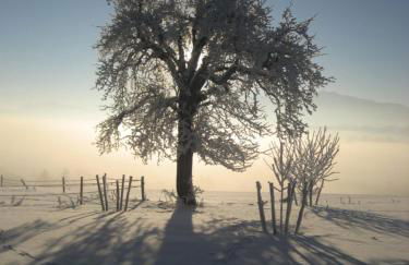 Ferien beim Baur - Foto 17