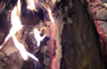 Casa de Campo dos Távoras - Foto 70