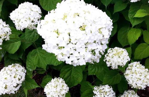 La maison de Carmen - Foto 46