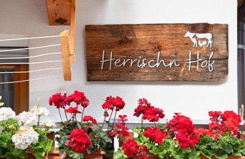 Herrischner Apartement 1 - Photo 5