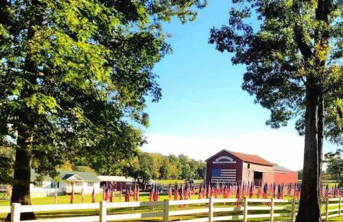 4BDRM Games Family Frndly Fire Pit Masthope - Foto 64