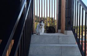 Edifício Aurora 05 Loft Mary - Foto 15