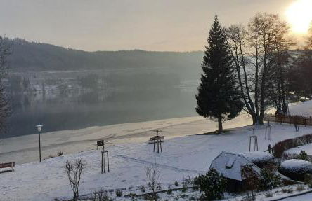Oskar im Bärenhüsli - Foto 2