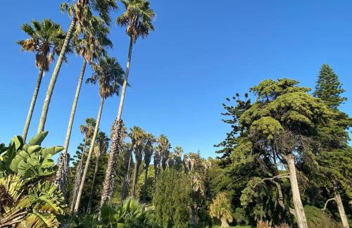 Belém Fantastic Triplex House - Photo 7