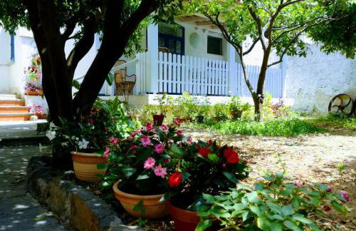 Gigia's House - Photo 16