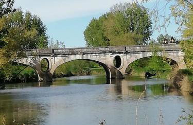 La Maison aux volets bleus 37 m3, Bords de Saône - Foto 33