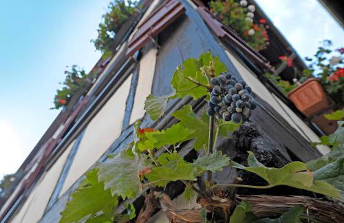 Ferienwohnung im Strumpfweberhaus - Foto 26