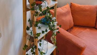 statt HOTEL - Frisch, Frech und Farbenfroh - Helle Souterrainwohnung - Photo 3