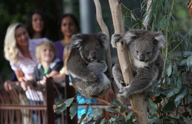 Style in the heart of Carlton - Foto 9