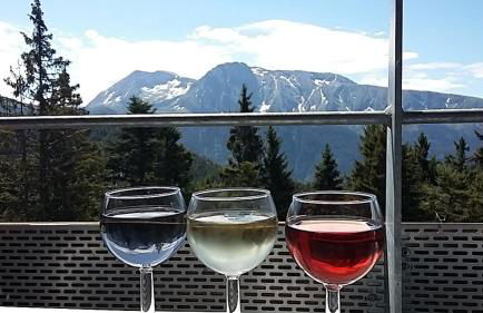 Chamrousse 1700 - Les Domaines de LArselle - Silènes C32 - Classé 3 étoiles- Vue sur les montagnes - - Foto 3