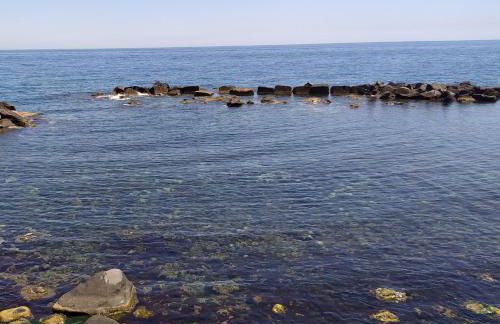 Nucifora's House - Foto 14