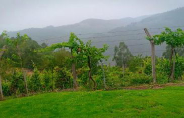 Casa da Viña - Ribeira Sacra - Foto 18