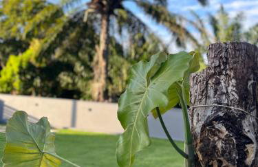 Chalé Litoral Norte - em condomínio de praia - Foto 42