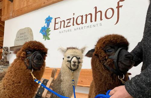 Enzianhof - Nature Apartments - Photo 58