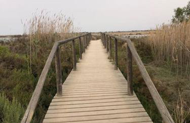 Villa Bella - Photo 21