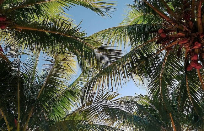 Location Location Location Best Beachfront Spot in El Cuyo With Stunning Views - Photo 26