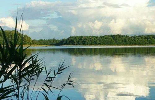 Agroturystyka Borówka - Foto 51