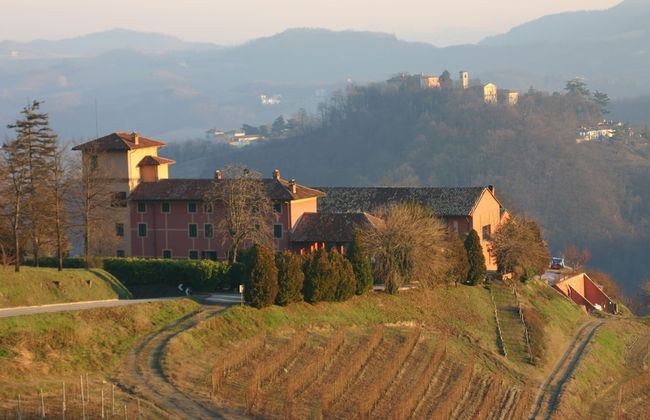 Tenuta Tenaglia - Photo 24