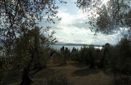 Terrace on the Lake - Foto 19