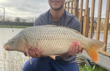 The Firs Country Park - Foto 24