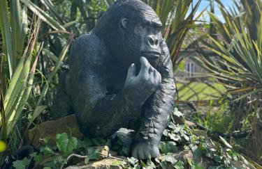 Caesars Lodge - Photo 55