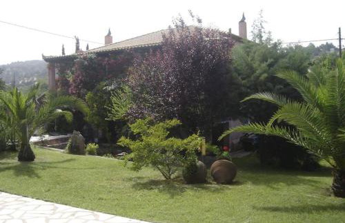 VILLA VICKY - Traditional villa in Evia - Foto 79