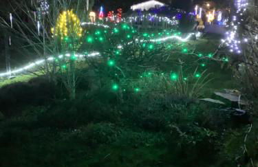 La Grenouillère - Foto 27