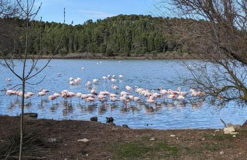 Maison Porte Saint Croix - Foto 41