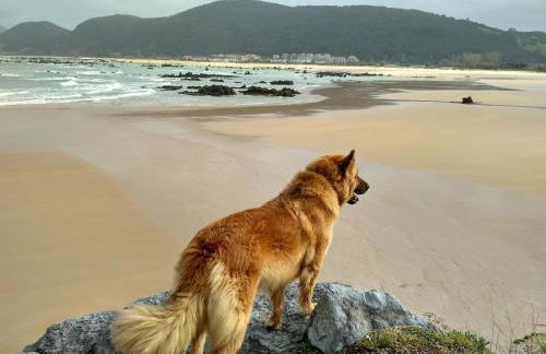 La Casona del Carmen - Foto 40