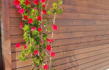 A Casa da Japoneira CB - Foto 46