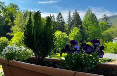 PARK VILLA zentral am Mittelrhein Zimmer&Apartments Self check in Aparthotel - Foto 137