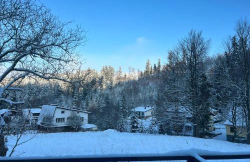 Apartament Hyrca - Foto 77