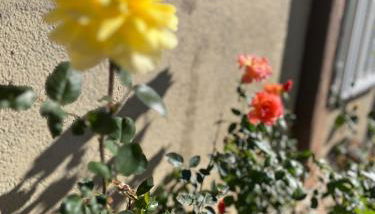 Wonderful RV - Foto 4