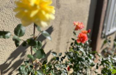 Wonderful RV - Foto 4