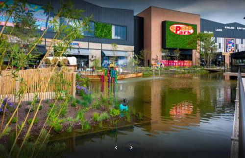 Cozy Rental SPA - Foto 5