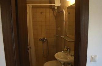 Boletus MushROOM - Foto 11