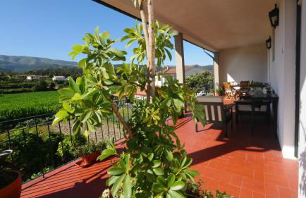 Quinta do Arieiro - Foto 5