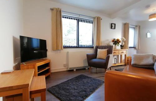 Cottage by the river in Cenarth with seasonal fishing and Wifi - Foto 9