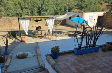 Experience Alpacas in Andalucia - Foto 6