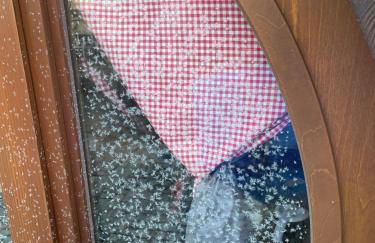 Schlafen im Weinfass - Foto 32