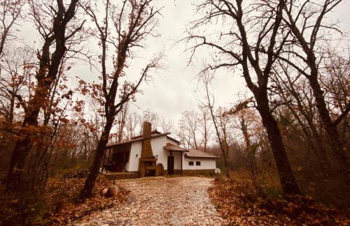 Arnaia Forest Villa - Photo 49