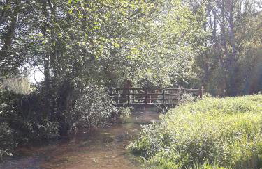 La Forqueta y El Fontanal - Foto 77