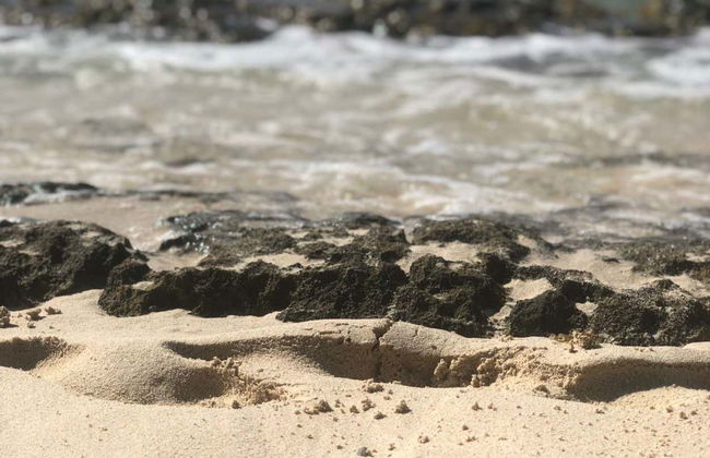 Catalina Island & Chavon River Day Trip - Foto 2