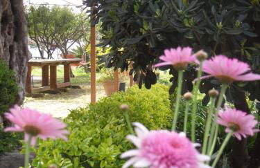 Locazione Turistica Casa in Campagna - Foto 24