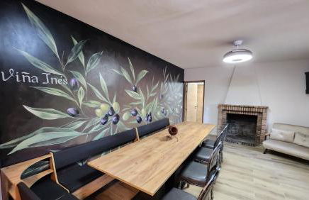 Agroturismo Viña Inés Toledo - Photo 52