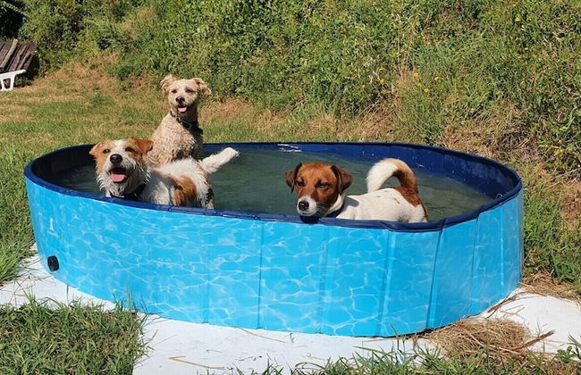 Fattoria di Cintoia - Photo 53