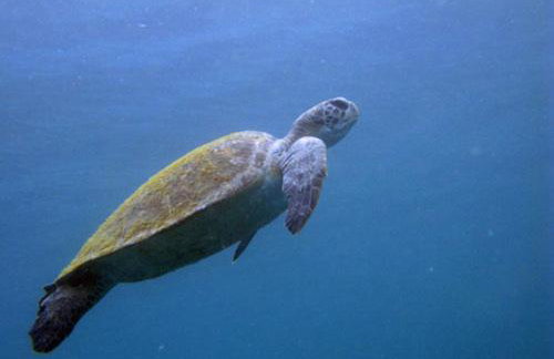 Residencial Neide Maria - Foto 21