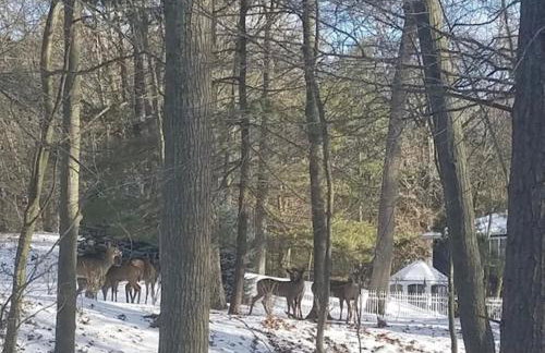 Indoor Pool near Grand Haven with Lake Michigan Beach! - Foto 54